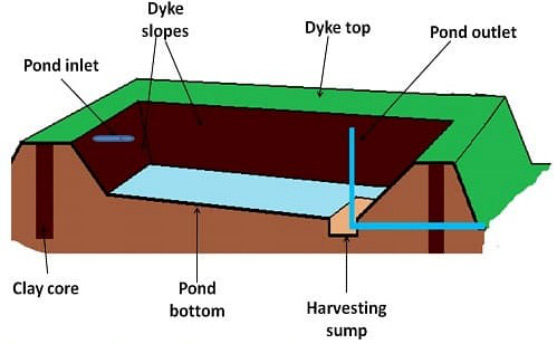 Wastewater Treatment Systems